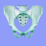 Sciatica Constipation Sciatica